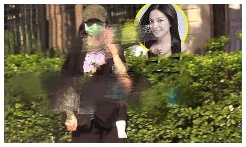 赵薇最新恋情爆料,神秘男友身份引热议